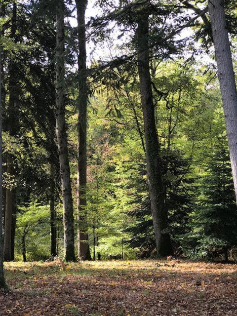 Domaine De La Vaudouriere Villa Lunay Eksteriør bilde