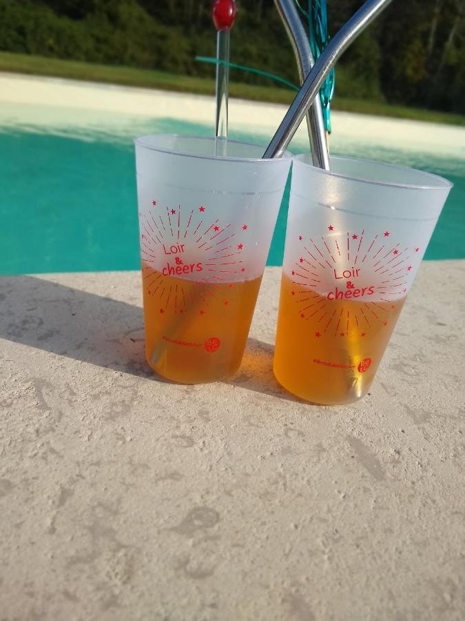 Domaine De La Vaudouriere Villa Lunay Eksteriør bilde