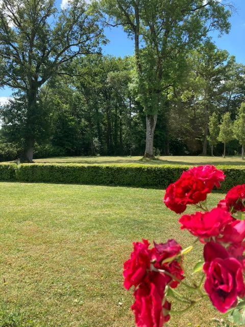 Domaine De La Vaudouriere Villa Lunay Rom bilde