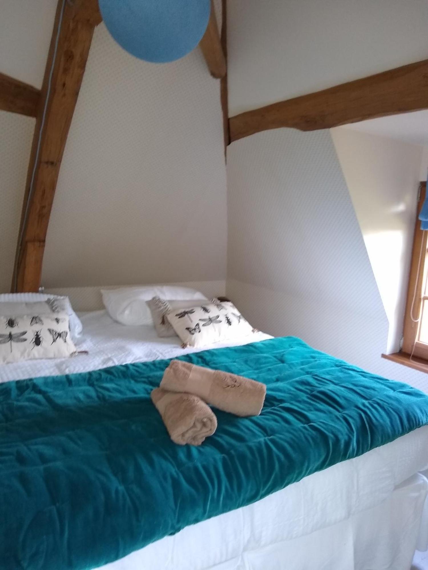 Domaine De La Vaudouriere Villa Lunay Rom bilde